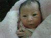 baby1.jpg