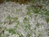 Hail.jpg