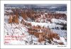 Bryce-in-Winter-Web.jpg