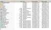 IE 8 files.jpg