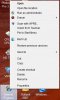 IE8 desktop shortcut properties.JPG