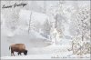 Seasons-Greetings-BBS.jpg