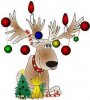 Raindeer.jpg