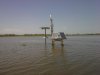osprey-cam-1.jpg