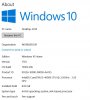 Win 10.JPG